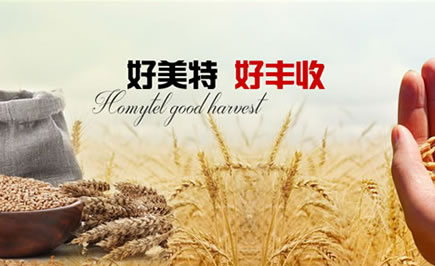 南寧專業的農業類網站建設公司